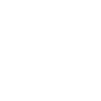professional-cleaning-icon